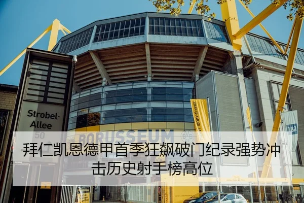 拜仁凯恩德甲首季狂飙破门纪录强势冲击历史射手榜高位
