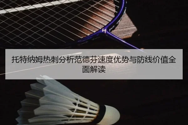 托特纳姆热刺分析范德芬速度优势与防线价值全面解读