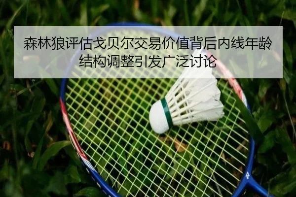 森林狼评估戈贝尔交易价值背后内线年龄结构调整引发广泛讨论